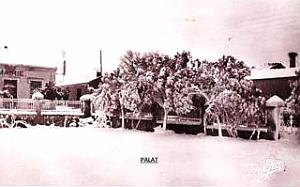 Palat 100